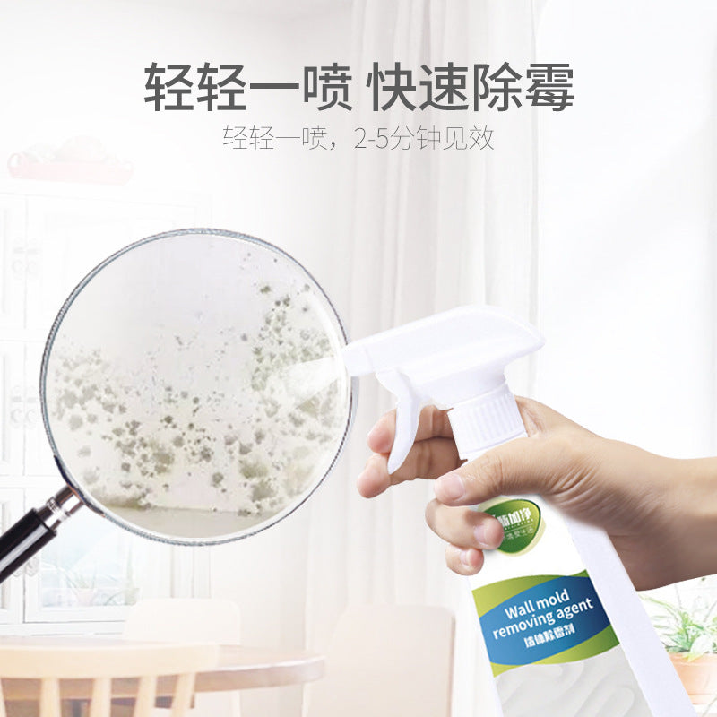 WALL MOLD REMOVING AGENT