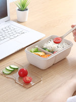 JAPANESE WHEAT STRAW LUNCH BOX