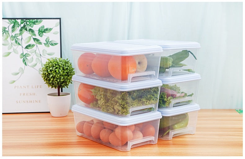 REFRIGERATOR STORAGE BOX (5.4LTS) - HOME & LIVING | JIAG STORE Lifestyle Home Improvement